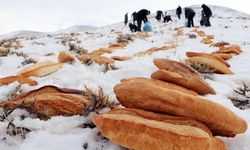 Yaban hayvanları için binlerce ekmek bıraktılar