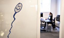 Danimarka'da sperm bankaları, evde 'aşılama' yasağının kalkmasını istiyor