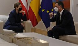 İspanya ve Danimarka, AB'nin doğal gaz ve nükleer için 'yeşil yatırım' tanımlamasına karşı