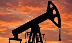 AB'yi Rusya'ya ambargo konusunda en çok düşündüren Druzhba petrolü