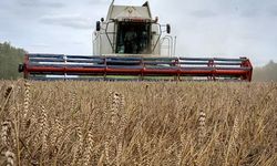 Dünyada gıda krizi sürerken tahıl şirketleri rekor gelir elde etti