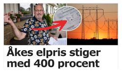 Elektrik faturası yüzde 400 artan İsveçli emekli  isyan etti