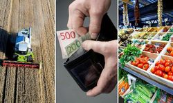 Gıda fiyatları Temmuz'da yüzde 13,5 arttı