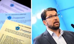 Aşırı sağcı İsveç Demokratlar Partisi (SD) Mecliste 4 komisyon başkanlığı aldı