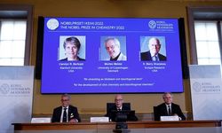 İsveç'te verilen 2022 Nobel Kimya Ödülü üç bilim insanına gitti