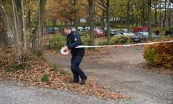 Danimarka'da hamile kadını öldüren zanlı tutuklandı