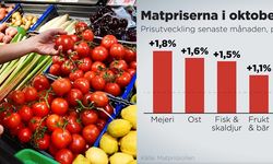 İsveç'te gıda fiyatları komşu ülkelerden daha yüksek