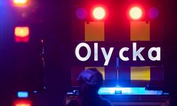 Kungsbacka'da hasta taşıyan ambulans geyiğe çarptı