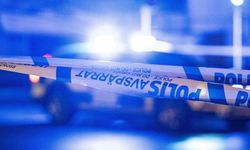 İsveç'te cinayet işleyen zanlı Norveç'te yakalandı