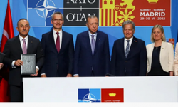 NATO üyesi olmak isteyen İsveç'in gözü Türkiye seçimlerinde