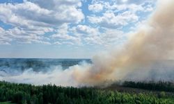 Borås'ta orman yangını