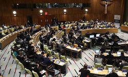 Türkiye, BM Ekonomik ve Sosyal Konseyi'ne seçildi