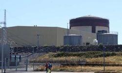 Ringhals nükleer santralinde iş kazası can aldı