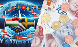 İsveç'in NATO'ya üye olma maliyeti