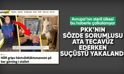 İsveç'te PKK'nın sözde sorumlusu ata tecavüz ederken yakalandı