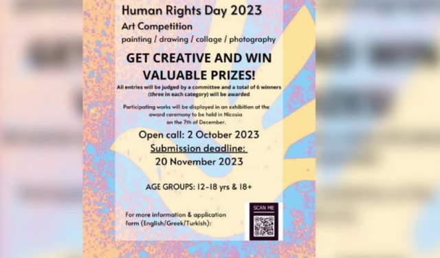 Hollanda ve İsveç Büyükelçilikleri İnsan Hakları temalı sanat yarışması düzenliyor