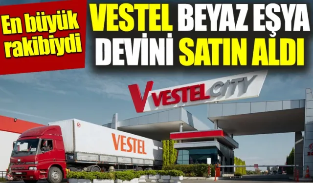 Vestel, İsveçli firmayı satın aldı
