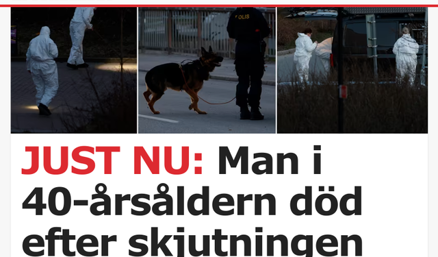 Skärholmen'de bir kişi öldürüldü
