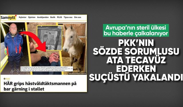 İsveç'te PKK'nın sözde sorumlusu ata tecavüz ederken yakalandı