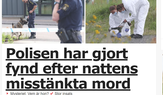 İsveç'te kimliği belirsiz kadın cinayeti