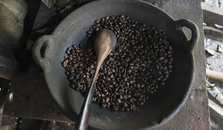 Dünyanın en pahalı kahvesi kedi midesinde mayalanıyor