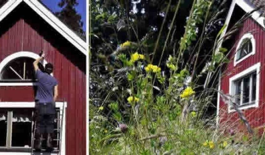 İsveç'te en çok değer kazanan yazlık evleri